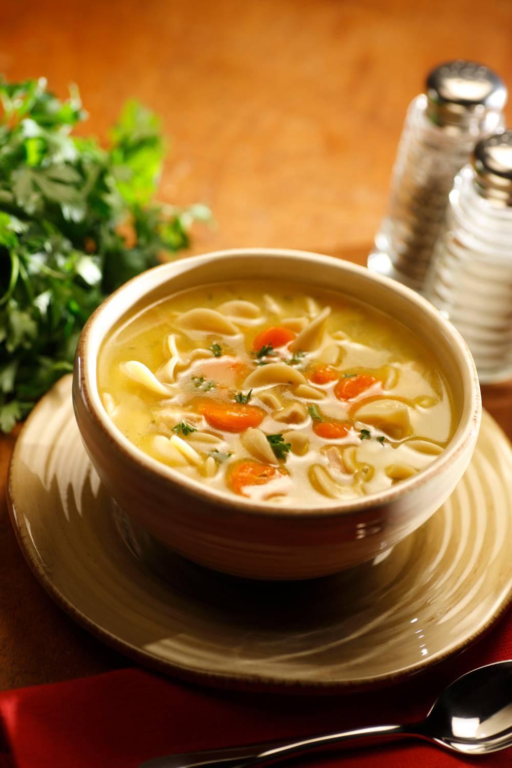 Slow Cooker Chicken Carcass Soup - Easy Peasy Slow Cook