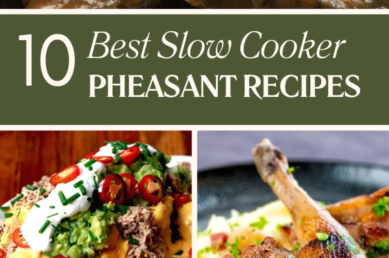 10 Best Slow Cooker Pheasant Recipes
