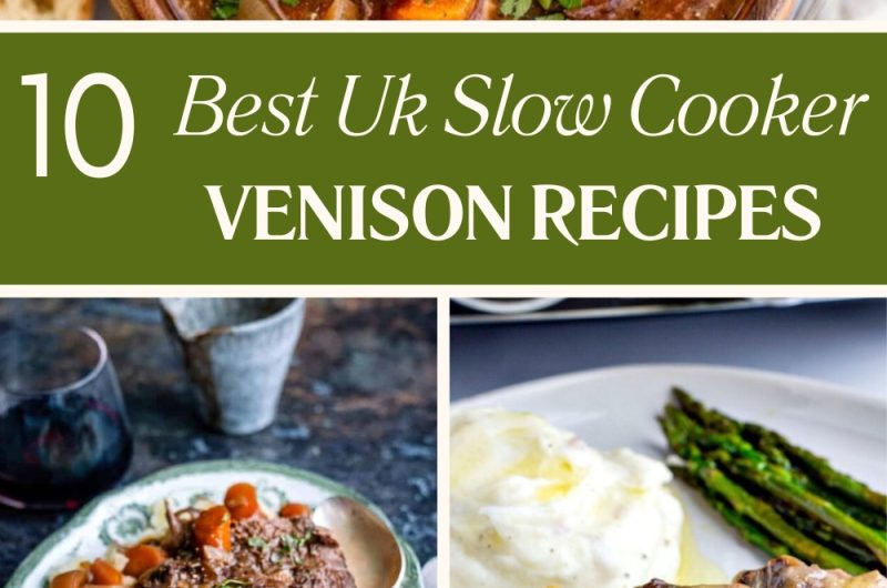 10 Best Venison Slow Cooker Recipes Uk