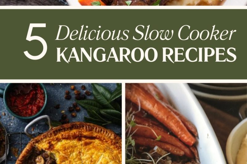 5 Delicious Slow Cooker Kangaroo Recipes