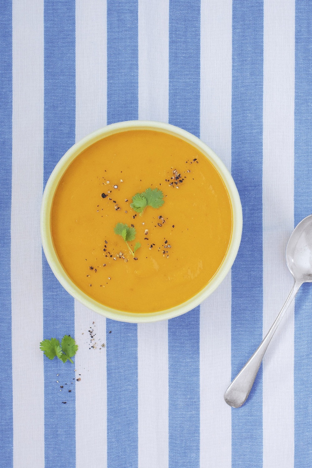 Slow Cooker Carrot and Coriander Soup