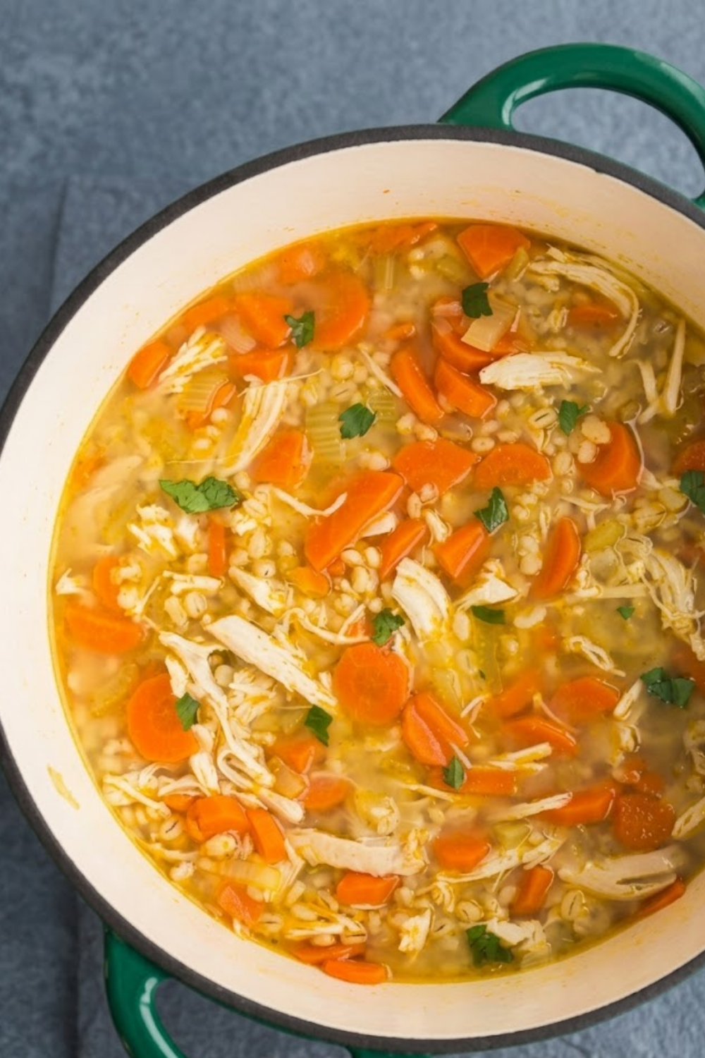 Slow Cooker Chicken Barley Soup